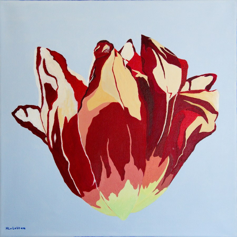 Tulp - acryl op canvas - 40 x 40 cm