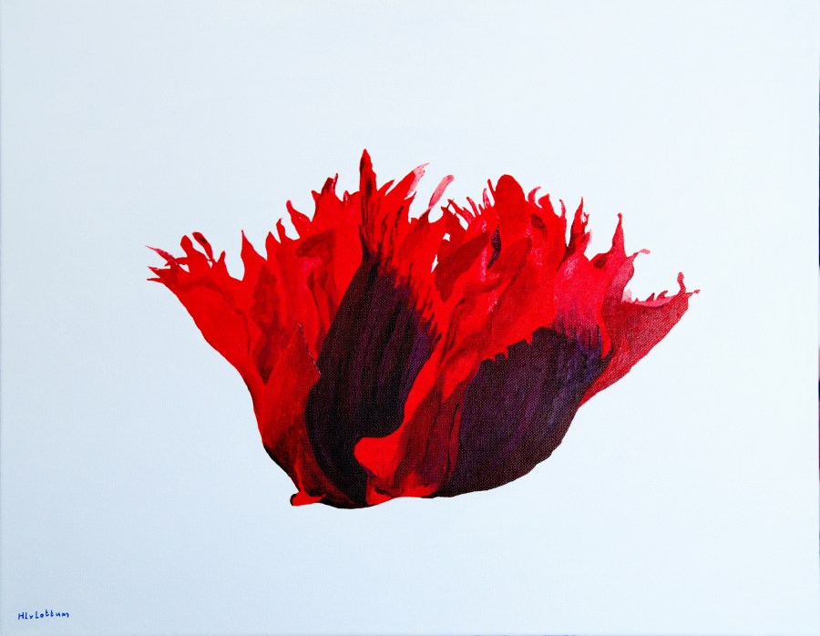 Papaver - acryl op canvas - 50 x 40 cm