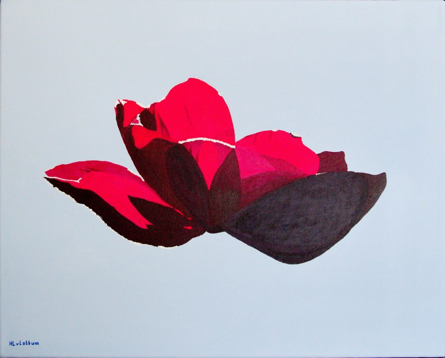 Anemoon - acryl op canvas - 50 x 40 cm