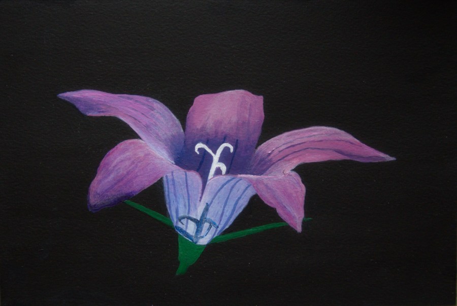 Weideklokje - acryl op karton - 22,5 x 16 cm