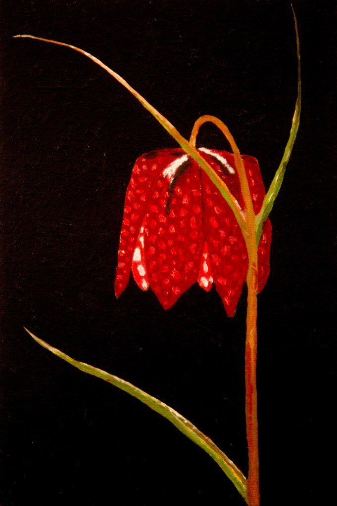 Kievitsbloem acryl op karton 15x22,5 cm