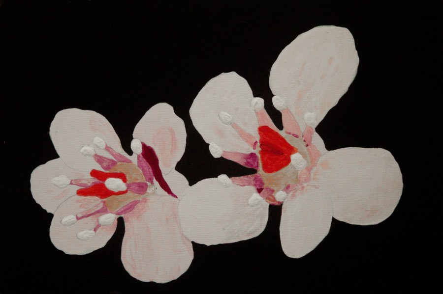 Schildblad acryl op karton 15x22,5 cm