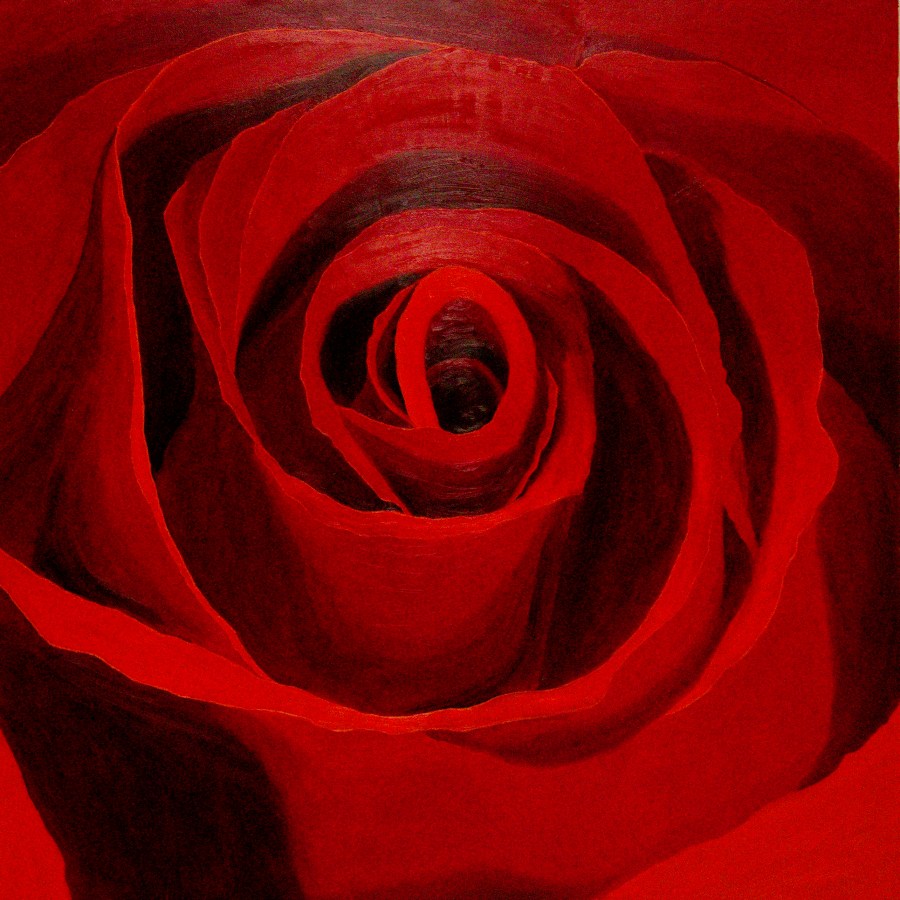 Roos - olieverf op canvas - 90 x 90 cm