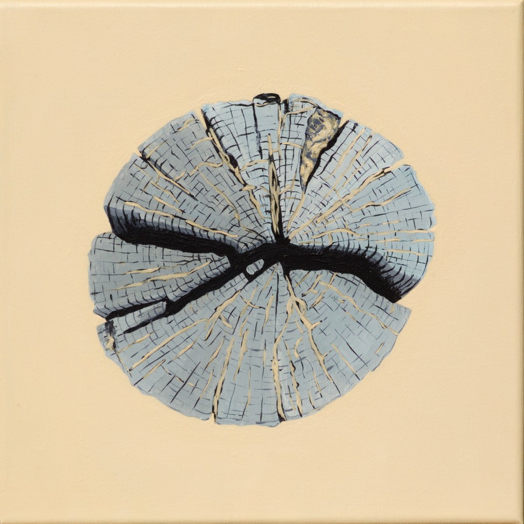 Paalkop 12 - acryl op canvas - 30 x 30 cm