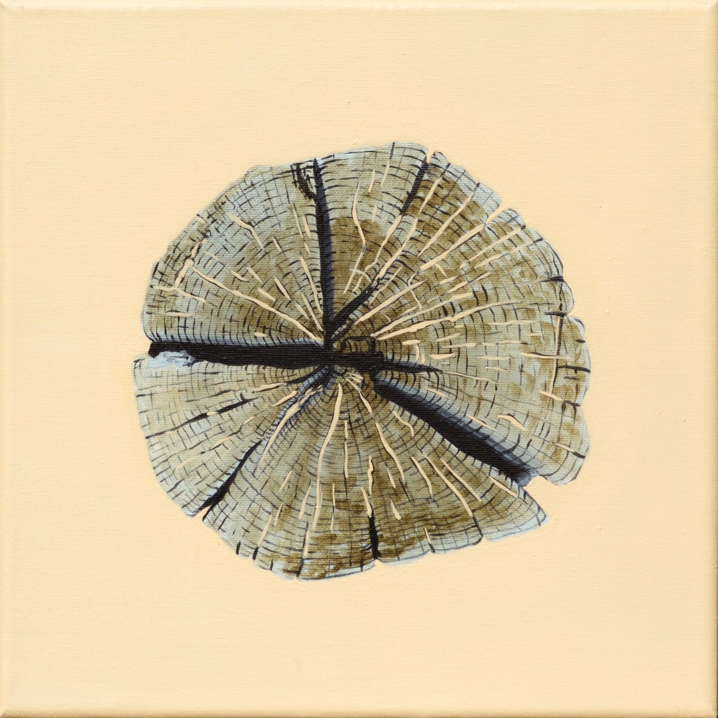 Paalkop 15 - acryl op canvas - 30 x 30 cm