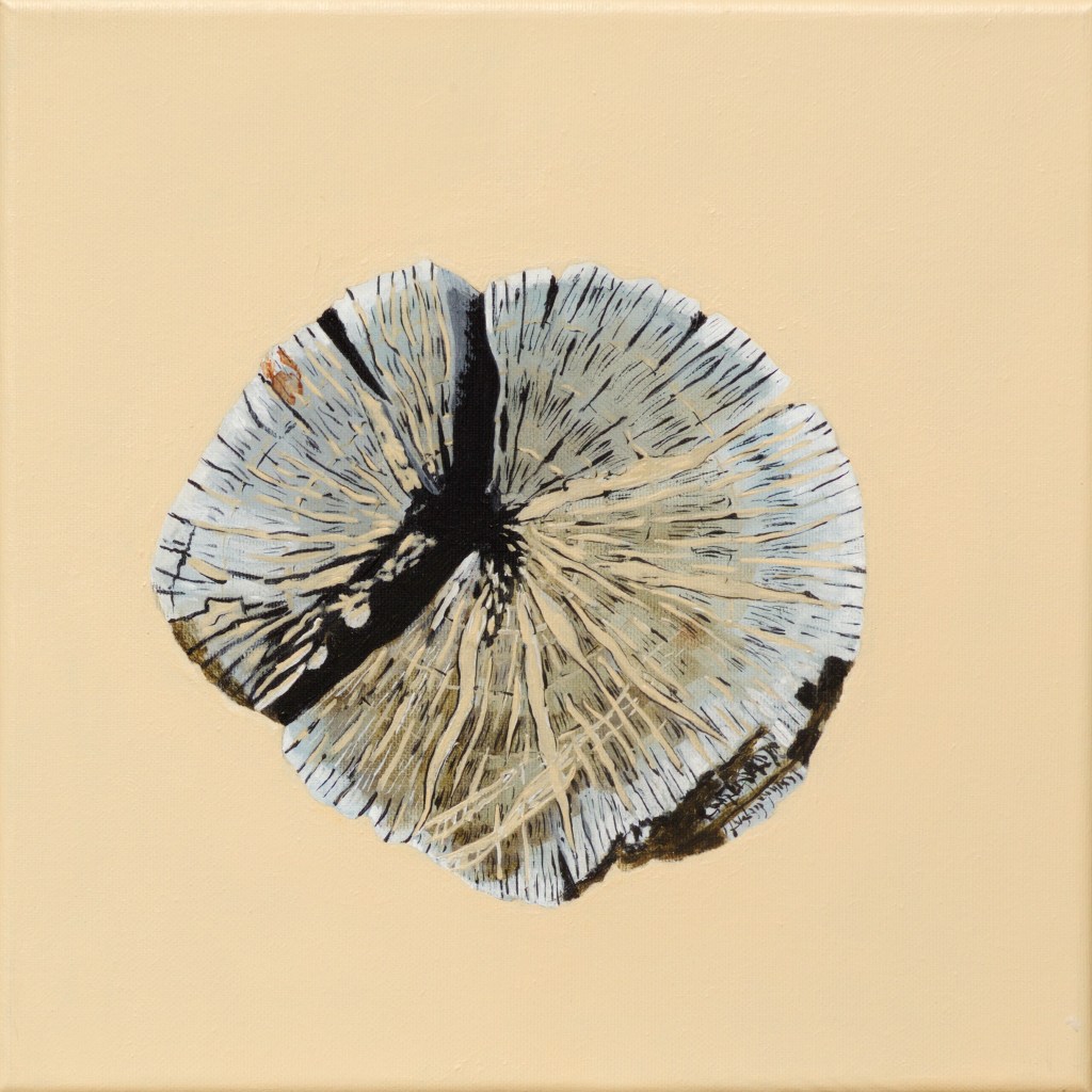 Paalkop 16 - acryl op canvas - 30 x 30 cm