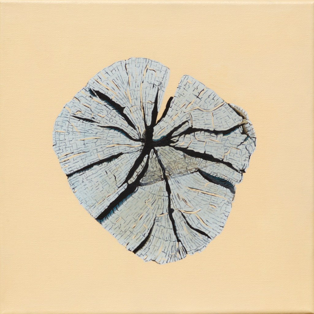 Paalkop 17 - acryl op canvas - 30 x 30 cm