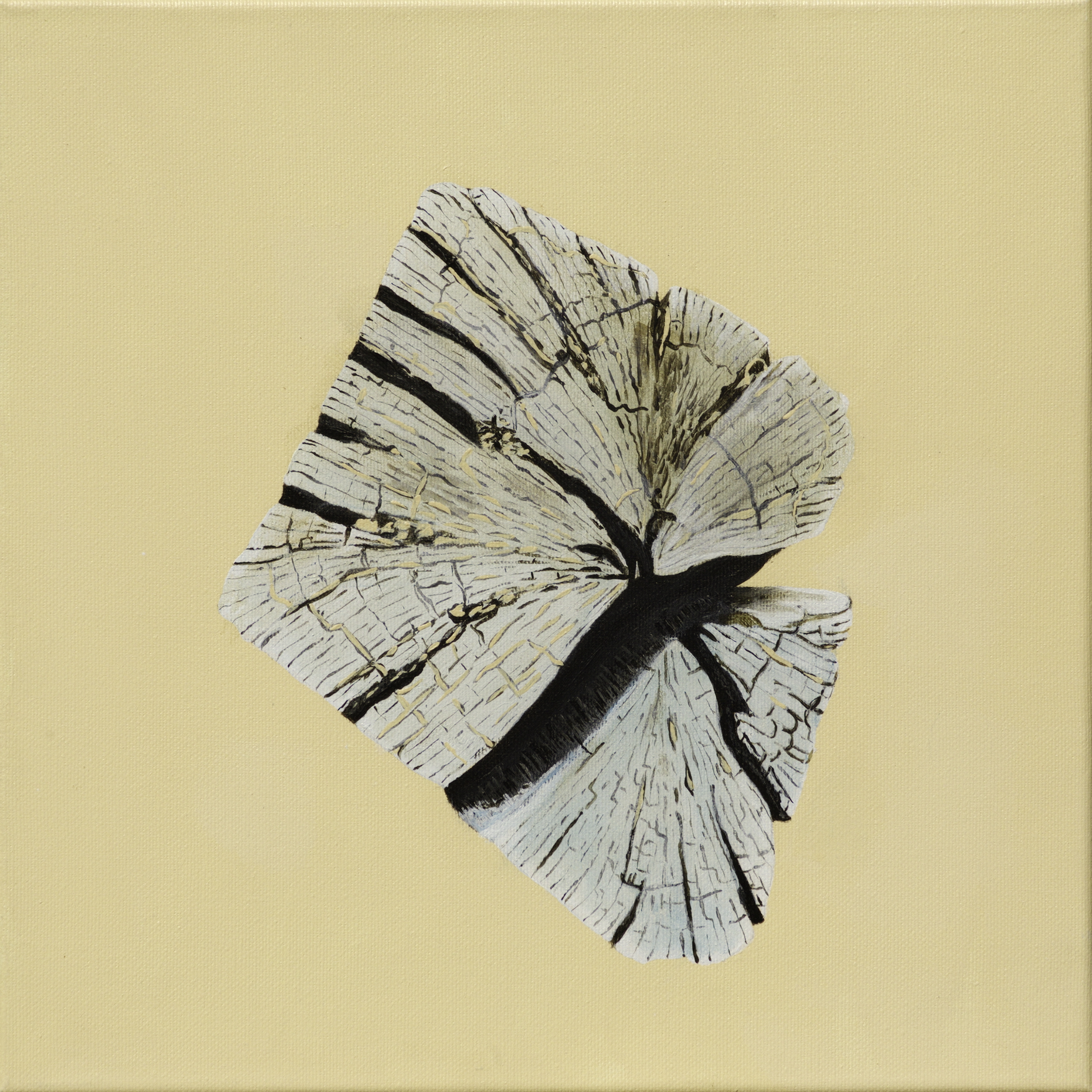 Paalkop 18 - acryl op canvas - 30 x 30 cm