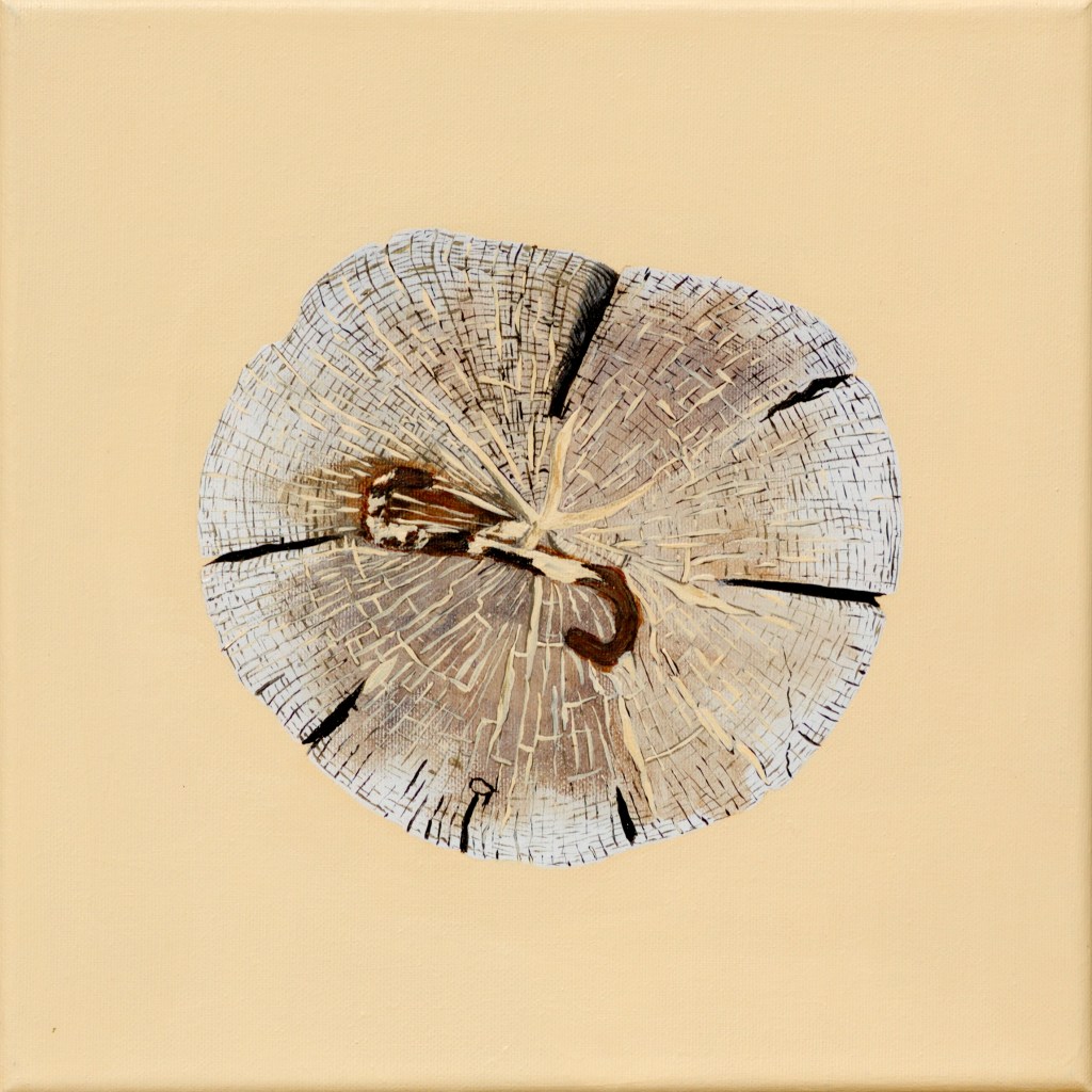 Paalkop 20, met kram - acryl op canvas - 30 x 30 cm