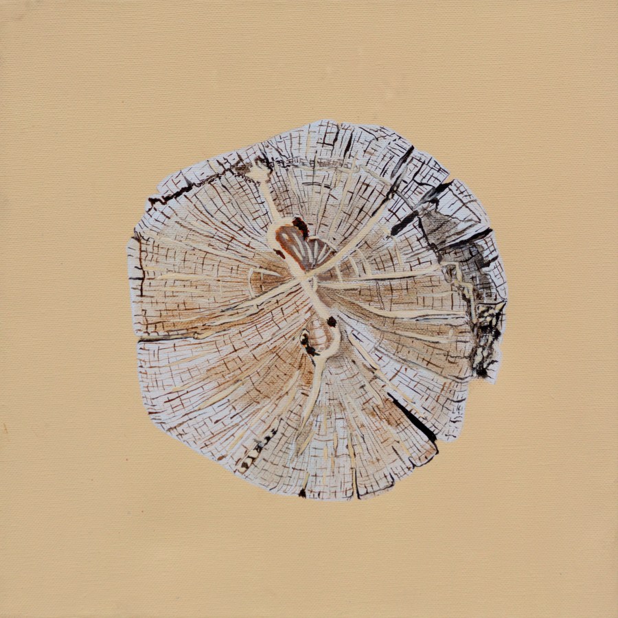 Paalkop 26 - acryl op canvas - 30 x 30 cm