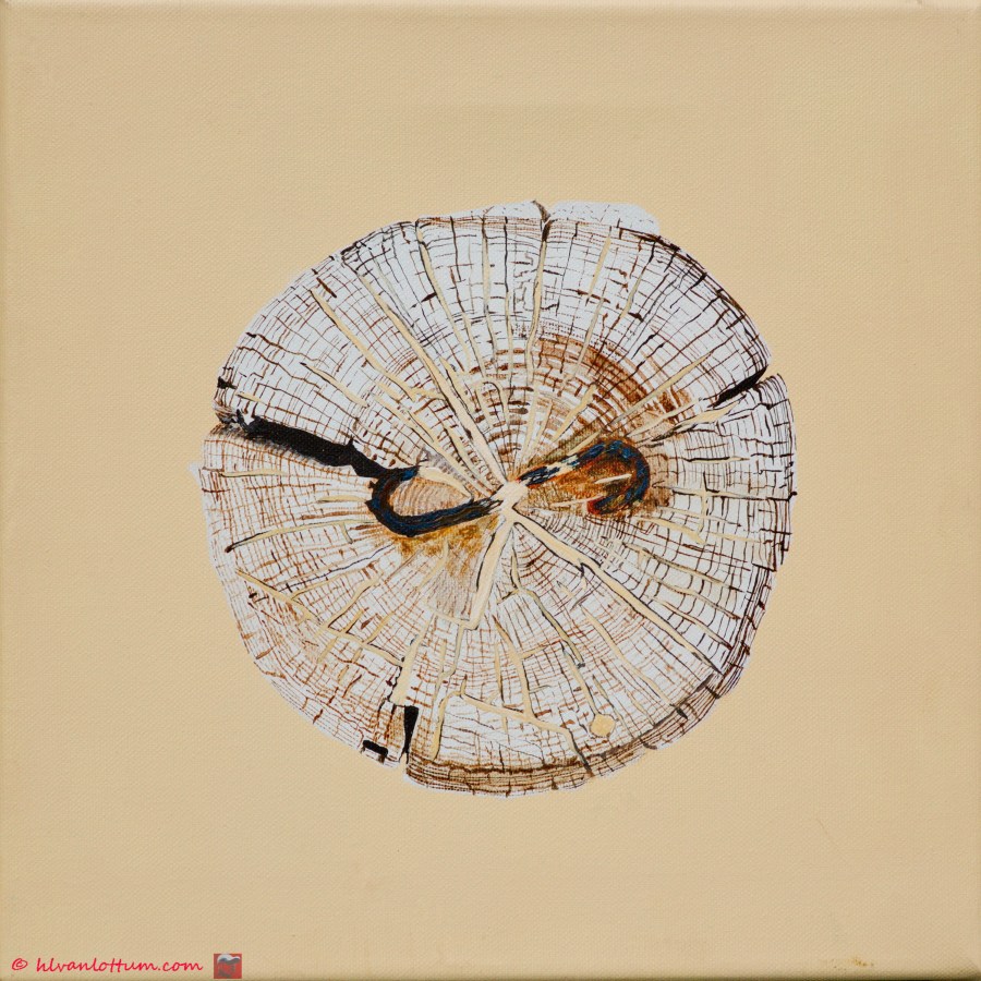 Paalkop 27 - acryl op canvas 30 x 30