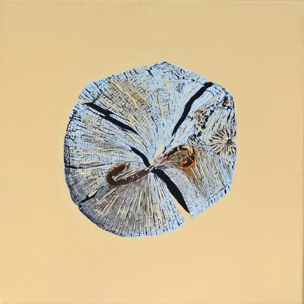 Paalkop 29 - acryl op canvas 30 x 30 cm