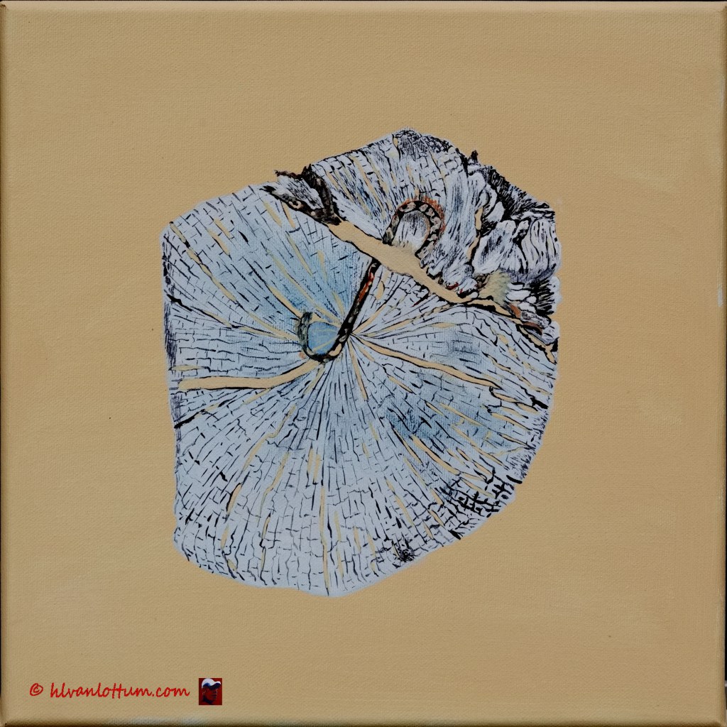 Paalkop 34 - acryl op canvas 30 x 30 cm