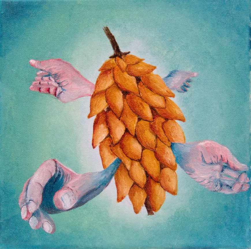 Dennenappel - olieverf op doek 20x20 cm