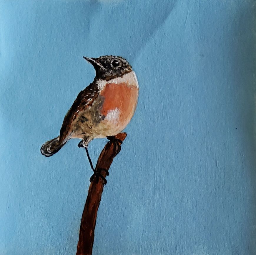 Roodborsttapuit - acryl op papier 13x13 cm