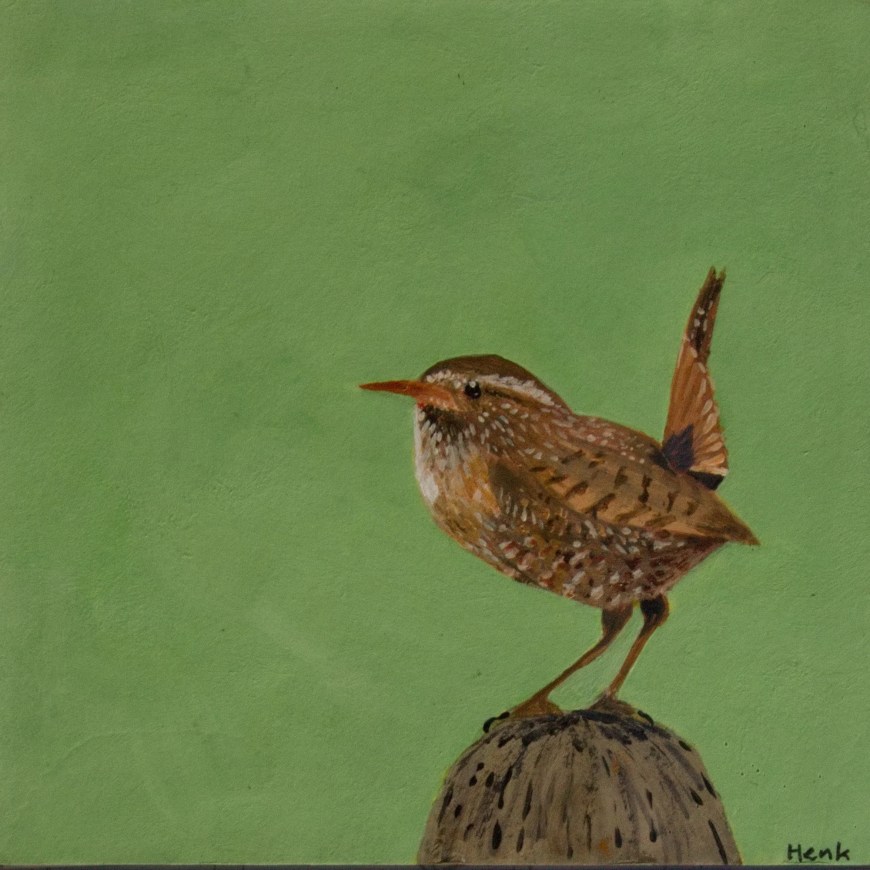 Winterkoning - acryl op papier 13x13 cm