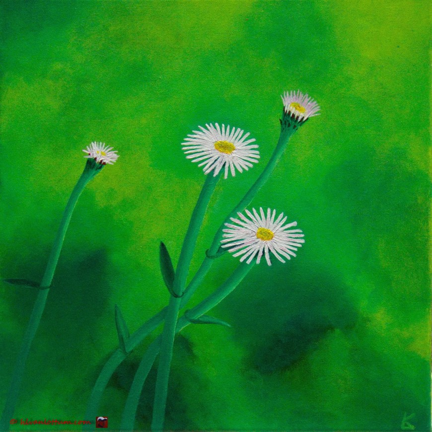 Fijnstraal - acryl op doek 40 x 40 cm